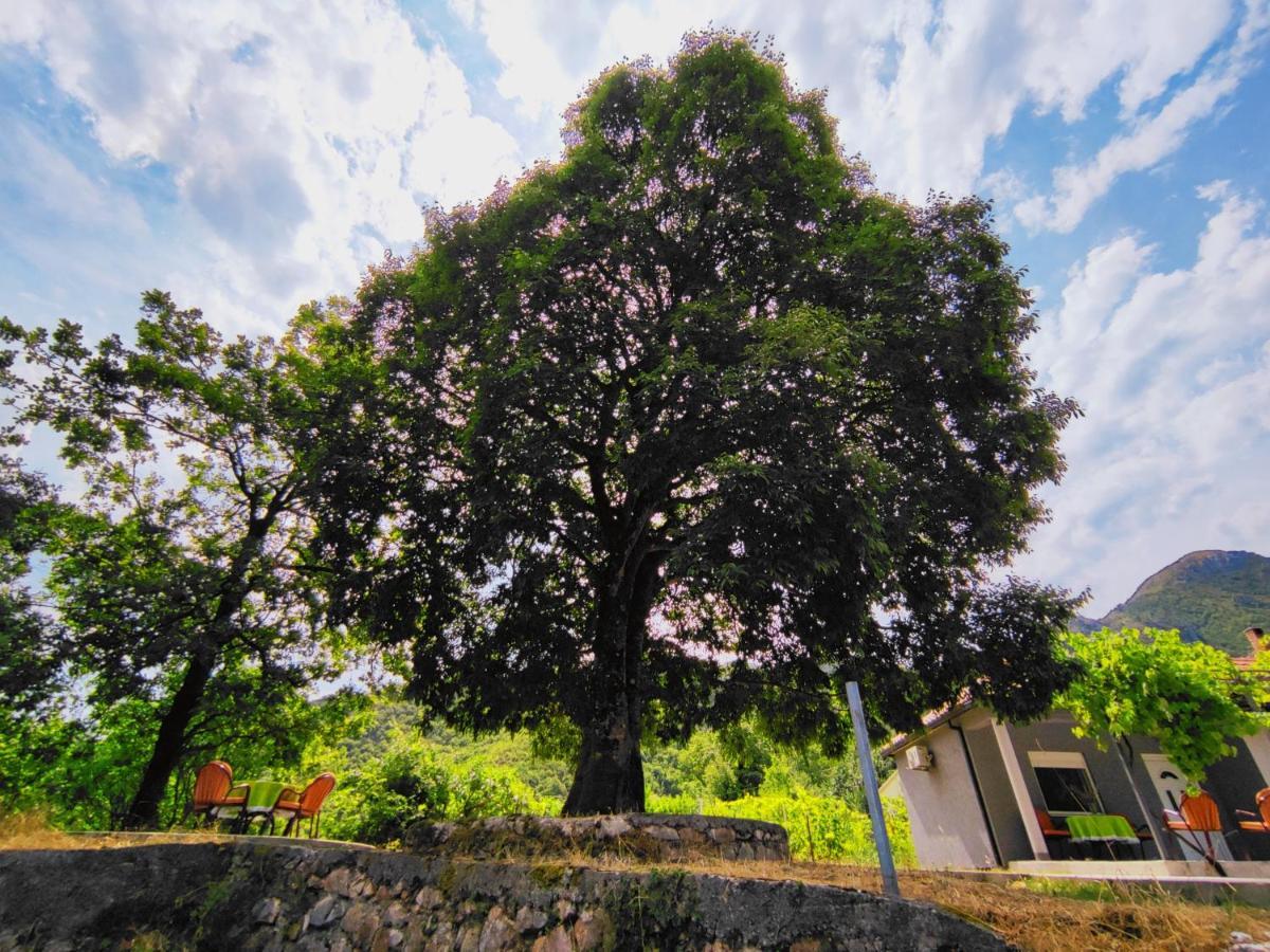 Celtis Shade House Villa Virpazar Exteriör bild
