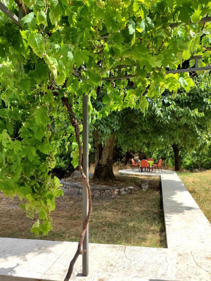 Celtis Shade House Villa Virpazar Exteriör bild